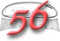 1956 Coral Red Beetle